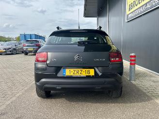 Citroën C4 cactus 1.6 e-HDi Feel AUTOMATIC picture 5