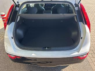 Kia e-Niro EV DynamicLine 64.8 kWh picture 24