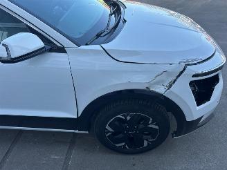 Kia e-Niro EV DynamicLine 64.8 kWh picture 12