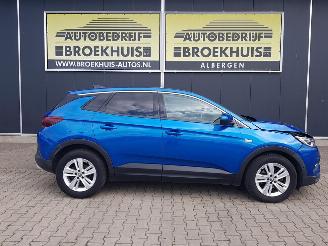 Opel Grandland X 1.6 CDTi Business Executive picture 4