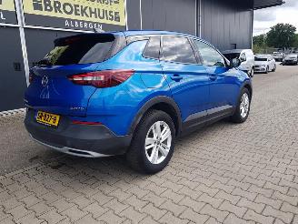 Opel Grandland X 1.6 CDTi Business Executive picture 8