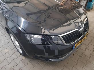 Skoda Octavia Combi 1.6 TDI Greentech Ambition Business picture 9
