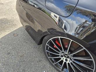 Mercedes S-klasse S 500 L 4-matic picture 16