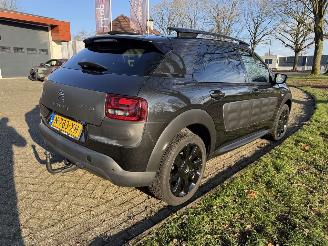 Citroën C4 cactus  picture 5