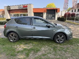 Seat Ibiza Fr picture 6