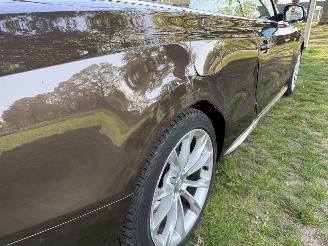 Audi A5 CABRIOLET picture 12