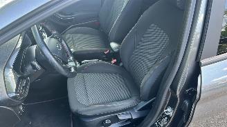 Ford Fiesta  picture 21