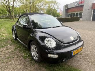Volkswagen Beetle  picture 7