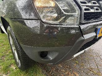 Dacia Duster  picture 10