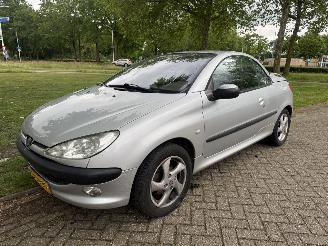Coche accidentado Peugeot 206  2002/1