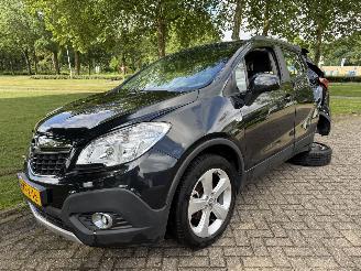 Avarii autoturisme Opel Mokka  2013/1