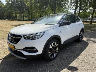Opel Grandland X picture 1
