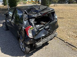 Kia Picanto  picture 16