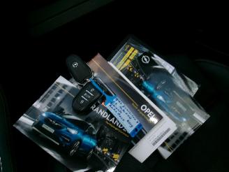 Opel Grandland 1.2 Ultimate Automatic picture 39