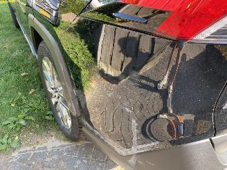 Toyota Rav-4 2.5 Hybrid AWD Style picture 65
