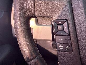 Ford F 150  picture 22