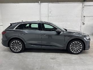 Audi E-tron 55 quattro 3x s-line SUV  Elektrisch  300kW (408pk) 4x4 2018-09/2023-07  EASA; EAWA picture 6