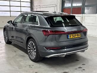 Audi E-tron 55 quattro 3x s-line SUV  Elektrisch  300kW (408pk) 4x4 2018-09/2023-07  EASA; EAWA picture 3