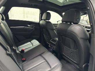 Audi E-tron 55 quattro 3x s-line SUV  Elektrisch  300kW (408pk) 4x4 2018-09/2023-07  EASA; EAWA picture 27