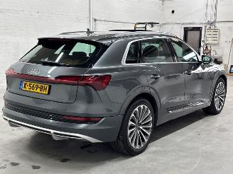 Audi E-tron 55 quattro 3x s-line SUV  Elektrisch  300kW (408pk) 4x4 2018-09/2023-07  EASA; EAWA picture 5