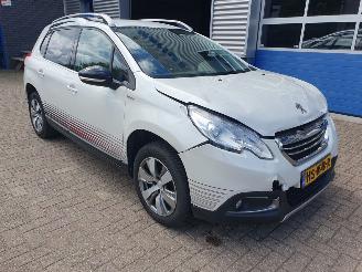Peugeot 2008 1.2 PureTech Urban Cross picture 7