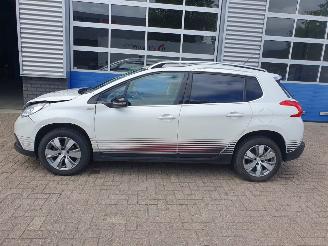 Peugeot 2008 1.2 PureTech Urban Cross picture 2