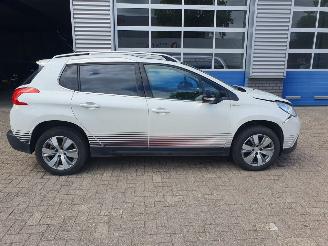 Peugeot 2008 1.2 PureTech Urban Cross picture 6