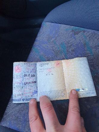 Toyota Paseo  picture 22