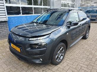 Citroën C4 cactus 1.2 PureTech W picture 1