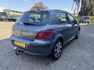 Peugeot 307 2.0-16V XS picture 6