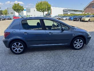Peugeot 307 2.0-16V XS picture 5