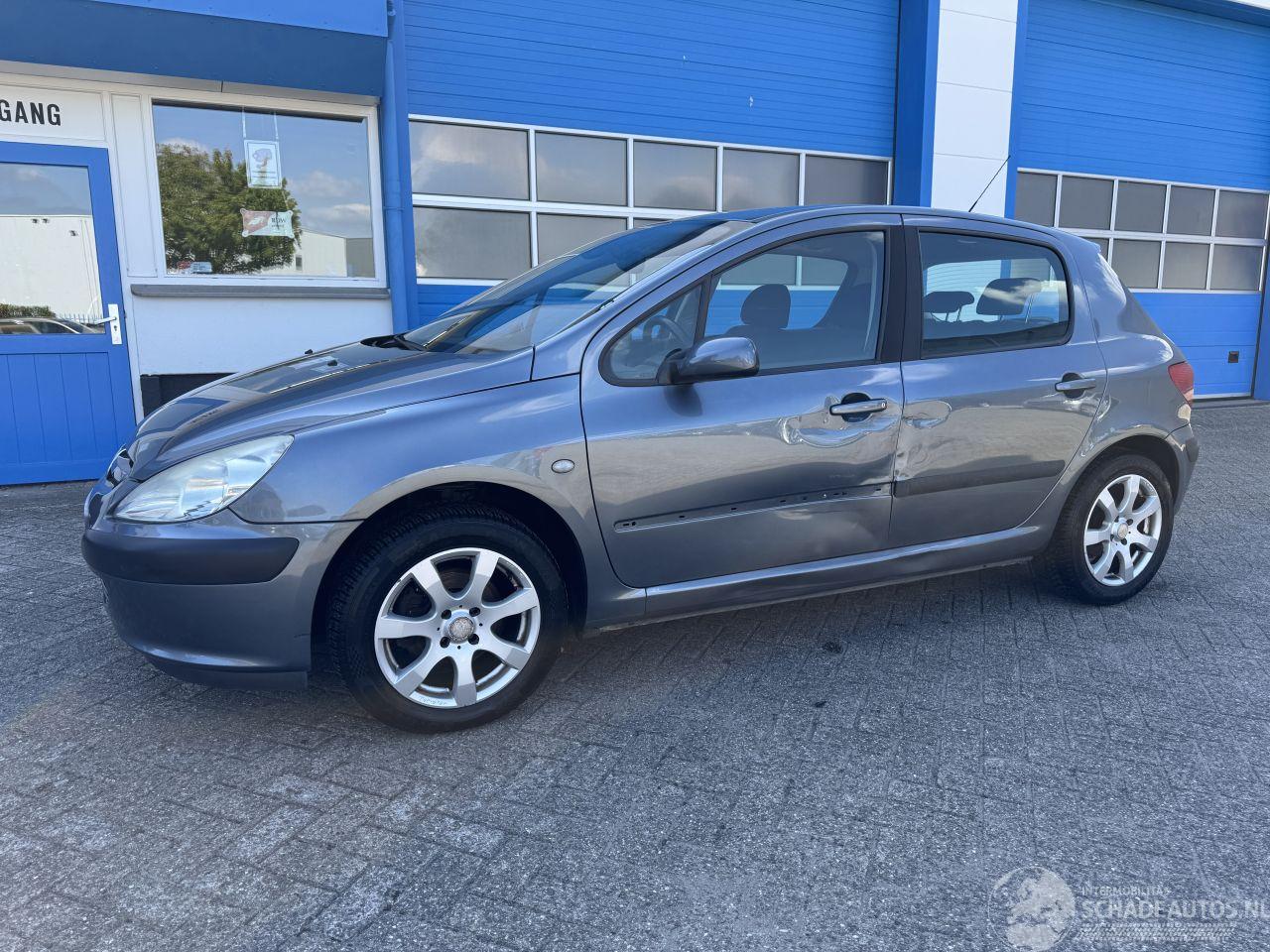 Peugeot 307 2.0-16V XS