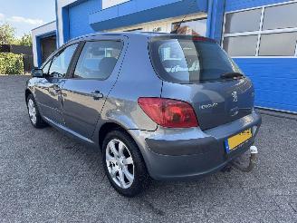 Peugeot 307 2.0-16V XS picture 8