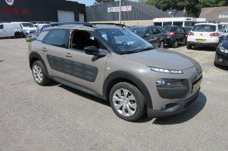 Citroën C4 cactus 1.2 Pure Tech picture 3