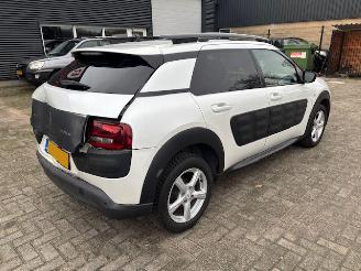 Citroën C4 cactus 1.6 HDI Limited Plus Pano picture 3