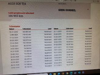 Audi SQ5 3.0 TDI Quattro Pano  313pk picture 28