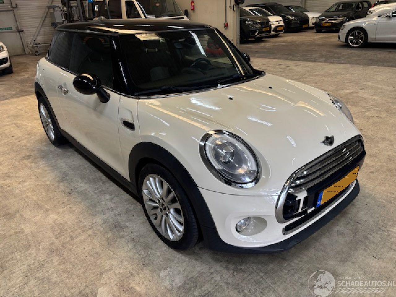 Mini Cooper 1.5 Cooper First Born Edition Nap