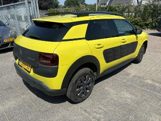 Citroën C4 cactus 1.2 VTI Shine Nap picture 7
