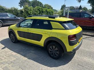 Citroën C4 cactus 1.2 VTI Shine Nap picture 2