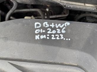 Suzuki SX4 1.6D S-Cross Exclusive Pano picture 9