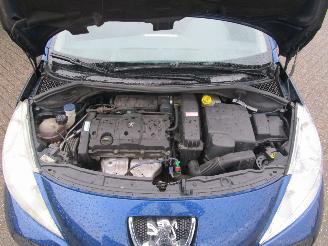 Peugeot 207 1.6-16V XS picture 21
