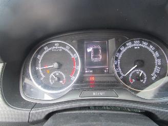 Skoda Fabia Combi 1.0 TSI Ambition picture 16