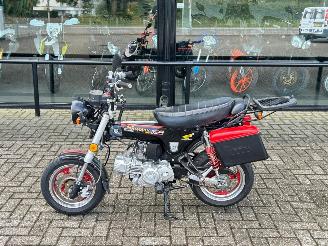 damaged motor cycles Honda  Skyteam Dax 125cc 2009/9