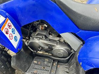 Yamaha  Raptor YFM 90 picture 13