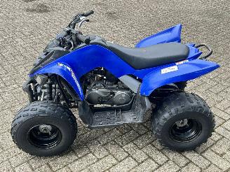 Yamaha  Raptor YFM 90 picture 6