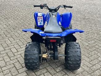 Yamaha  Raptor YFM 90 picture 4