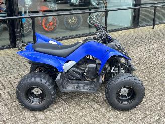 Yamaha  Raptor YFM 90 picture 2