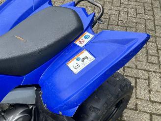 Yamaha  Raptor YFM 90 picture 9