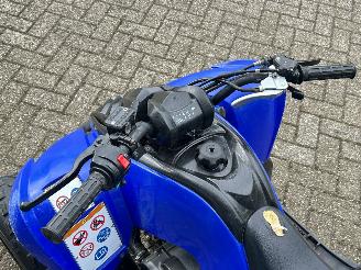 Yamaha  Raptor YFM 90 picture 14