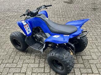 Yamaha  Raptor YFM 90 picture 5